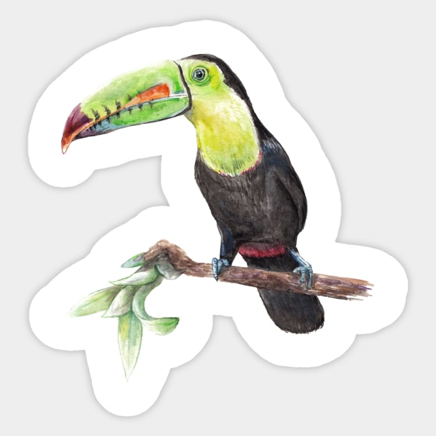 Watercolor Toucan Bird Sticker by wanderinglaur